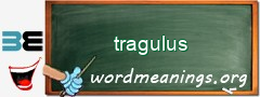 WordMeaning blackboard for tragulus